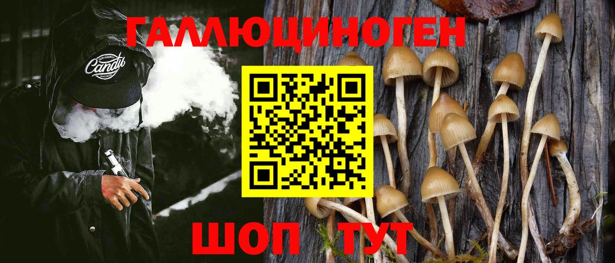 Псилоцибиновые грибы Psilocybine cubensis  Галлюциногенные грибы GOLDEN TEACHER  Всеволожск  Вход с VPN 
