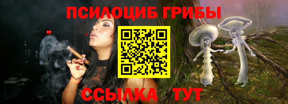 Галлюциногенные грибы Psilocybe Всеволожск